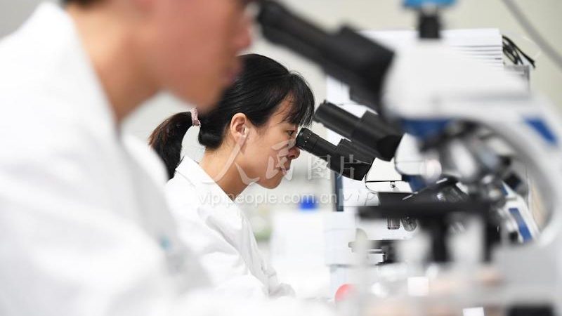 引物合成修饰：揭秘生物科技领域的“隐形功臣