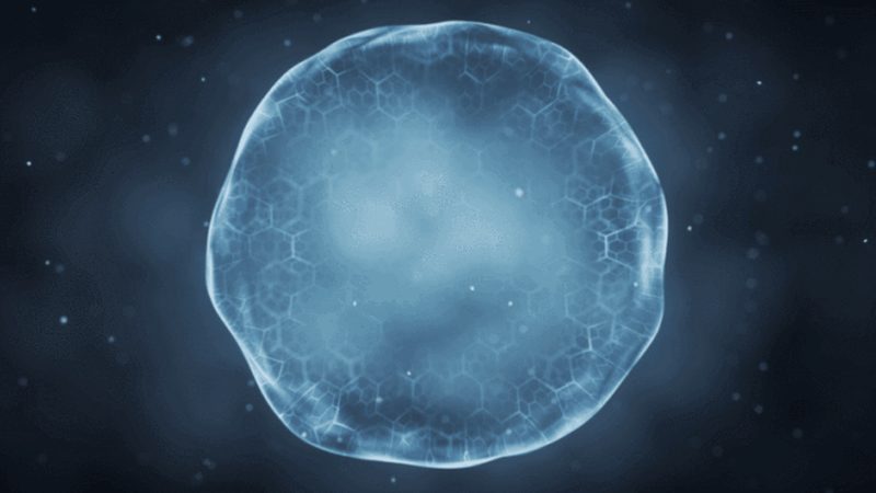 抗体保存液配方实验步骤解析**