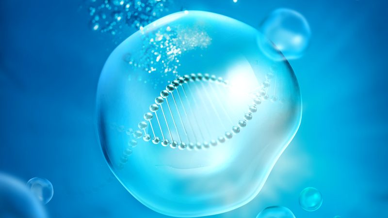 生物制品与化学药品：优缺点对比解析**