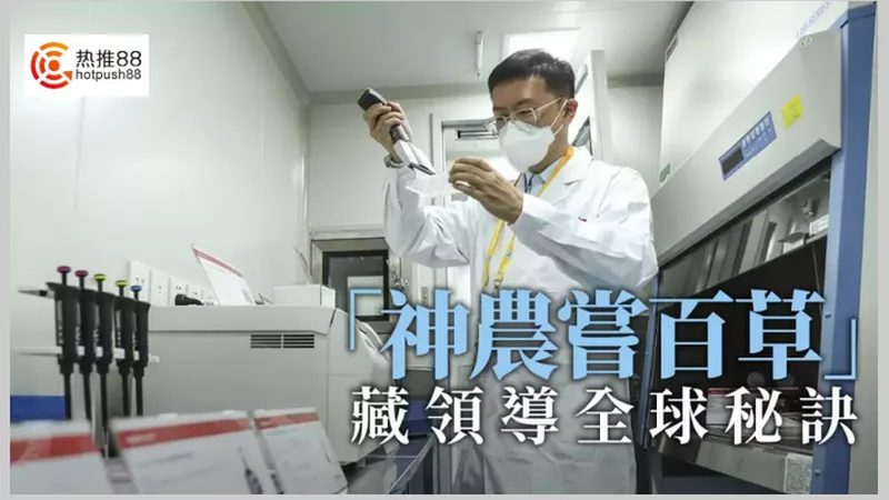 CDMO服务流程：揭秘药物研发的“加速器