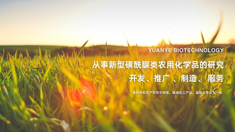 分子生物学试剂规格参数对比表