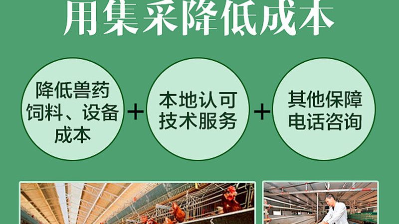 成都塑料离心管：如何选择合适的批发价格**