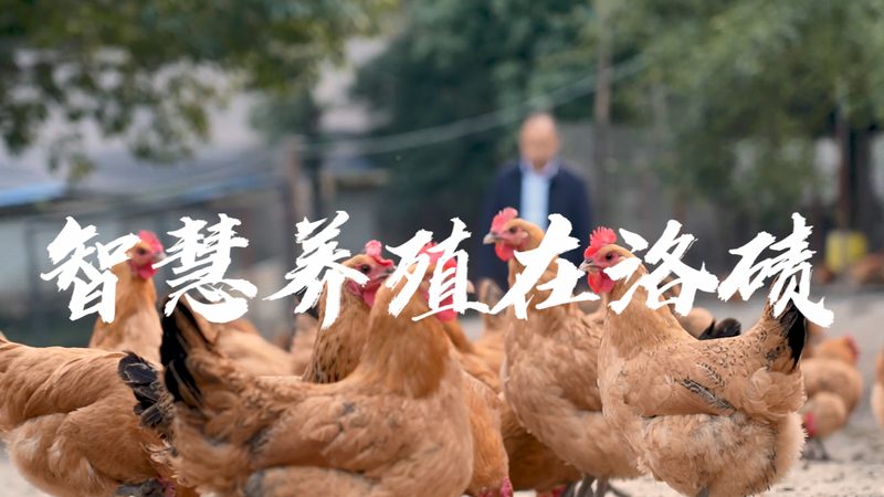 解码上海生物科技公司排行榜：揭秘行业力量与未来趋势**