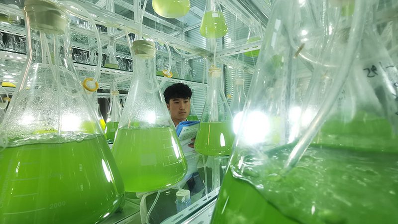 细胞培养基厂家的排名为什么总在变